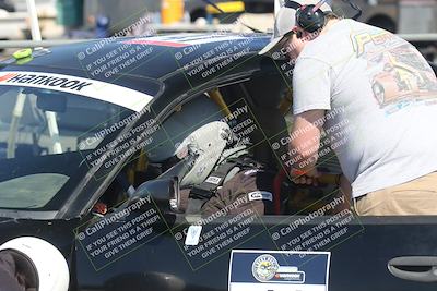 media/Oct-12-2025-Lucky Dog Racing (Sun) [[8adb5568ea]]/5-Pre Grid-Driver Change-Refueling/